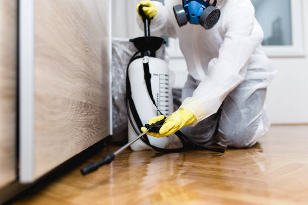 Best Pest Removal Services  in West Park, FL