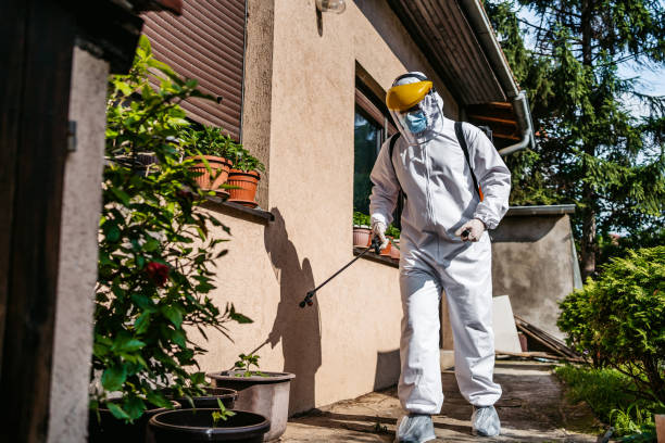 Best Wasp Removal Services  in West Park, FL