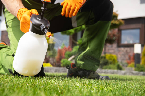 Best Pest Control Near Me  in West Park, FL