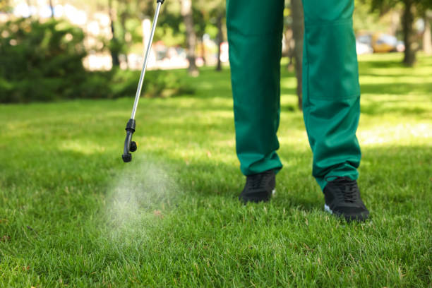 Best Emergency Pest Control  in West Park, FL