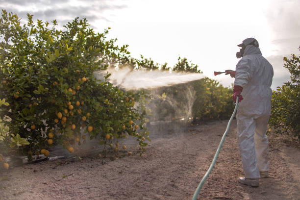 Best Pest Prevention Services  in West Park, FL