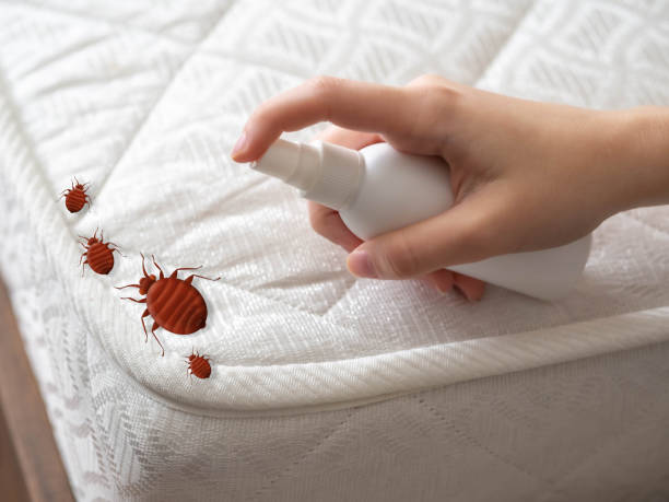 Best Affordable Pest Control Services  in West Park, FL