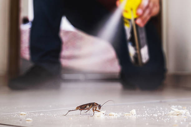Best Best Pest Control Companies  in West Park, FL