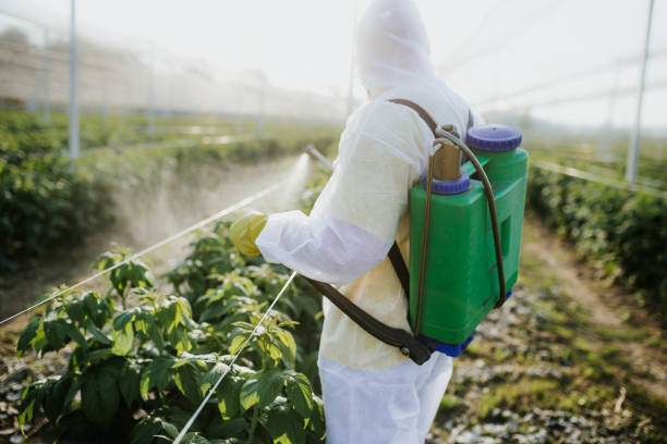 Pest Control for Restaurants in West Park, FL